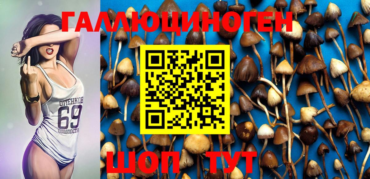 Псилоцибиновые грибы Psilocybe  Вход с VPN  Снежинск  Псилоцибиновые грибы прущие грибы 